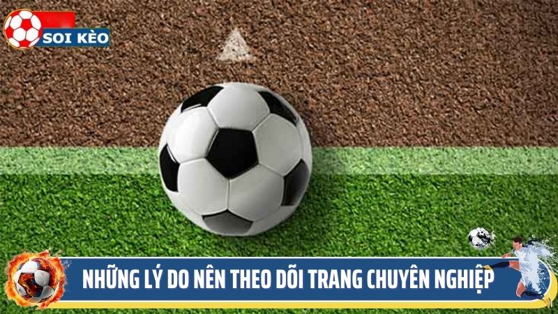 Những lý do nên theo dõi trang soi kèo soikeo.best chuyên nghiệp